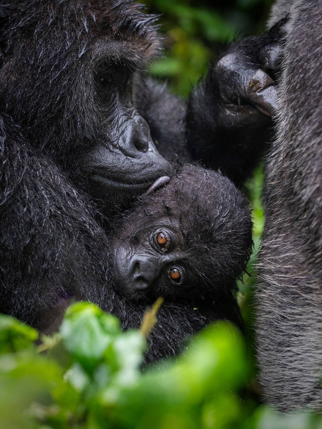 Gloria Mwenge Bitomwa&nbsp;(DRC)